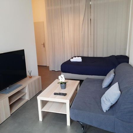 Grand T1 Au Calme - Dijon Centre Apartment Exterior foto