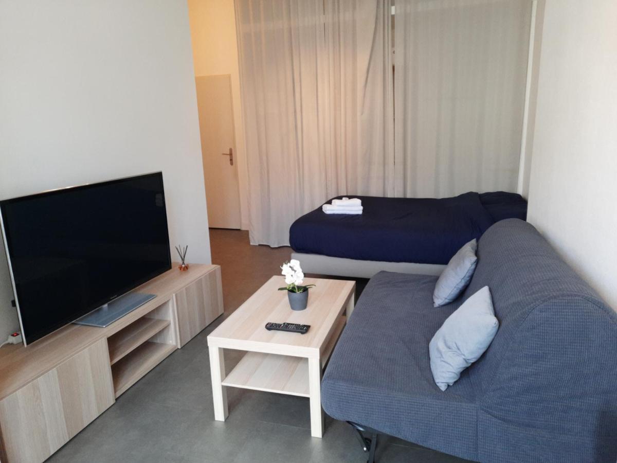 Grand T1 Au Calme - Dijon Centre Apartment Exterior foto